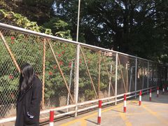 -广州市紫泥堂文化创意园景区