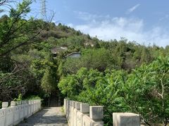 -白水寺森林公园