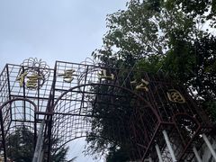 -信号山公园