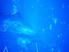 -梦幻巴比松星空体验馆