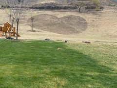 -潭柘厚院&山顶烤肉(潭柘寺店)