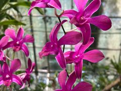 -华南国家植物园-售票处