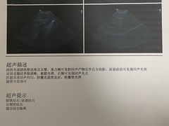 -恒幸动物医院·急重症转诊中心·神经内外科·CT核磁
