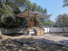 -上海佘山国家森林公园天马山园