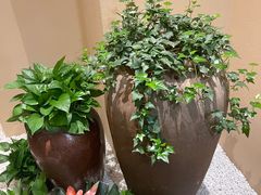 -固元堂(姚江里分院)