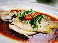 清蒸桂花雨-和乐喜宴海鲜酒家(骏荣广场店)