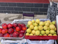 -北京龙庆四季香农家饭庄·灶台鱼·碳烤虹鳟鱼(龙庆峡店)