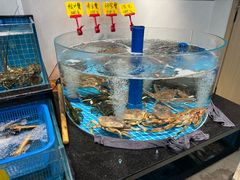 -大家发海鲜城夜排档(华山中路店)