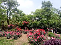 -东湖落雁景区