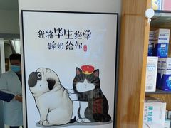-康爱犬猫诊所·牙专科·骨外科·影像内科(丰宁店)