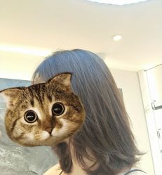 -BABY FACE沙龙
