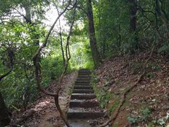 -广州市帽峰山景区