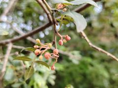 -丁村民俗博物馆