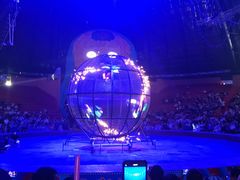 -俄罗斯国家大马戏团