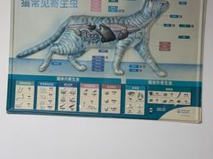 -宠颐生宠物医院外科·内科·皮肤科·影像科(石龙店)