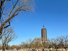 -西海子公园