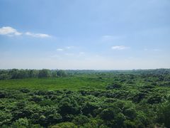 -东寨港红树林旅游区