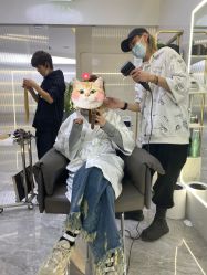 -COSMO PRO造型