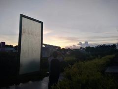 -百万葵园