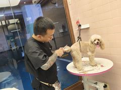 -FAELING PETS美天灵宠物(富力广场店)