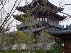 -江心屿景区