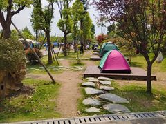 -枫香湖儿童公园