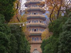 -灵谷景区