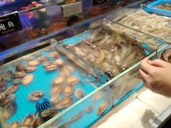 -加餐海鲜自助(宝龙一城店)