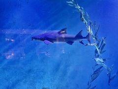 -波塞冬海底世界