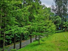 -福清灵石山国家森林公园