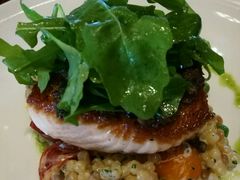 -WOLFGANG PUCK KITCHEN & BAR(迪士尼小镇店)