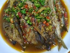 -全乐鱼馆·淳牌有机鱼直营店