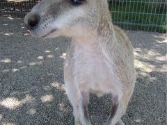 -费瑟代尔野生动物园