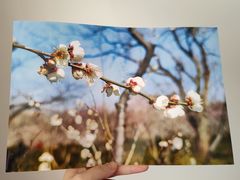 -柯达靓之彩影像网络(明瓦廊店)