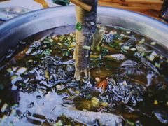 -盘龙黄鳝(盘龙居店)