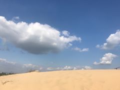 -金沙湖旅游度假区