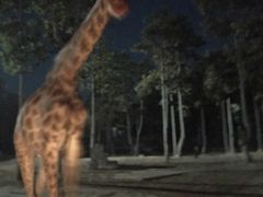 -清迈夜间动物园