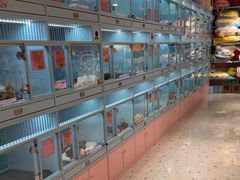 -FAELING PETS美天灵宠物(合生汇店)