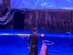 -华夏文旅西安度假区