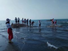 -青海湖国家重点风景名胜区售票处