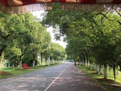 -艾溪湖湿地公园