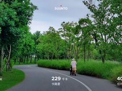 -泗洪洪泽湖湿地景区