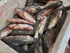 -老哥铁锅炖鱼(嫩江北街店)