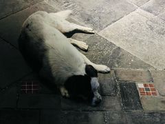 -双桥饭店(锦溪店)