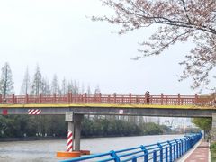 -高东镇樱花园