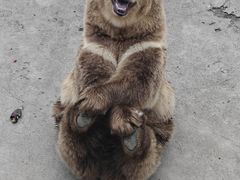 -哈尔滨北方森林动物园