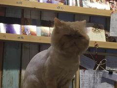 -小时光咖啡馆(开森度假森林店)