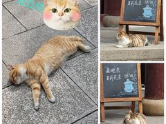 -虎丘山风景名胜区