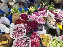 -秦美花卉(天朗·莱茵小城2期店)