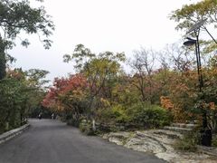 -千佛山风景名胜区